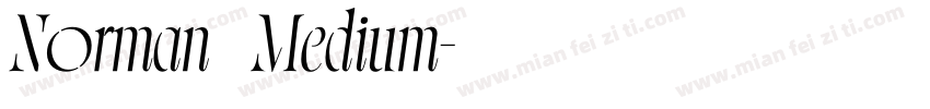 Norman   Medium字体转换
